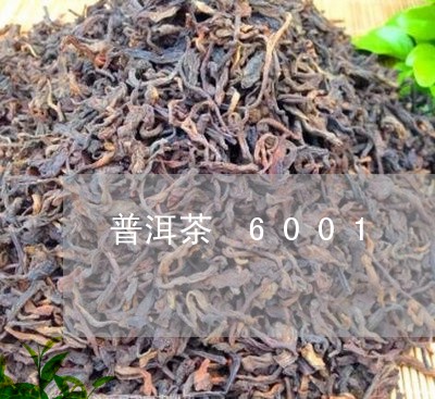 普洱茶 6001/2023031795038